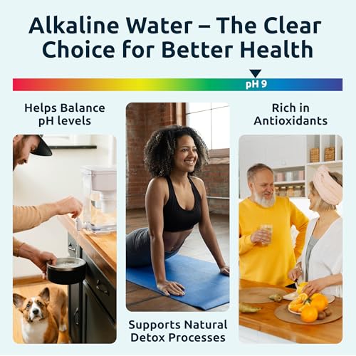 Alkaline Water Filter Dispenser