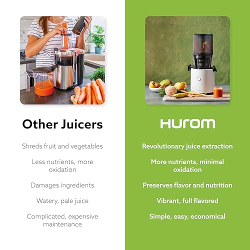 H320N Cold Press Juicer Machine