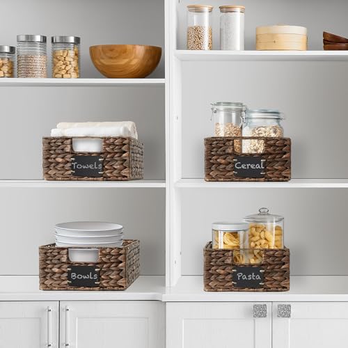 Set of 4 Water Hyacinth Pantry Baskets (4 Count)