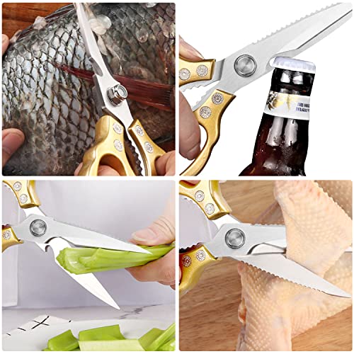 Kitchen Scissors