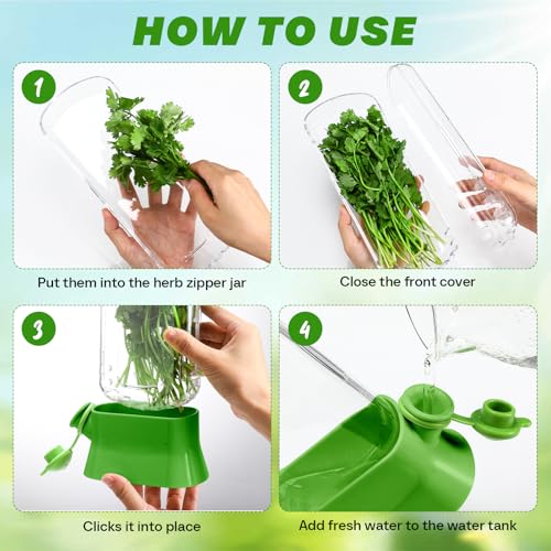 2 Pieces Herb Saver for Refrigerator Fresh Herb Keeper Cilantro Container for Fridge Saver Pod for Cilantro (2 Count)