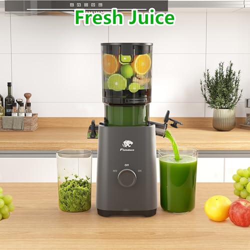 Cold Press Juicer