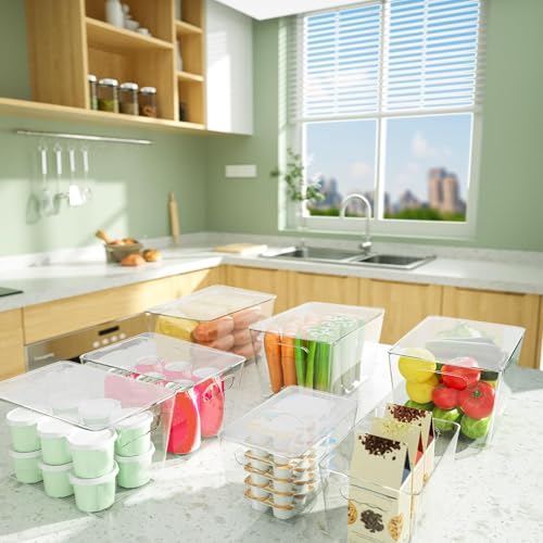 Clear Stackable Storage Bins with Lids (8 Count)