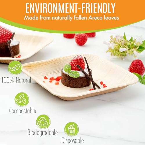 Raj Leaf Disposable Heavy Duty 6" Square Plates 200 Pack
