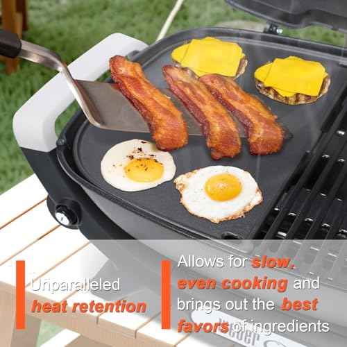 Cast Iron Griddle for Weber Q2000N