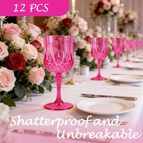 12Pack Plastic Wine Glasses (12 Count)