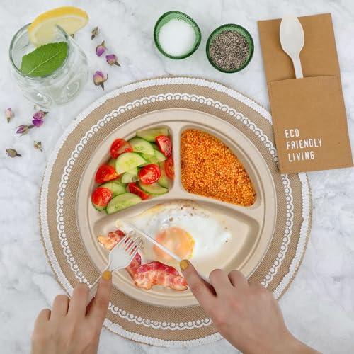 100PCS 100% Compostable 10in Brown Paper Plate (100 Count)