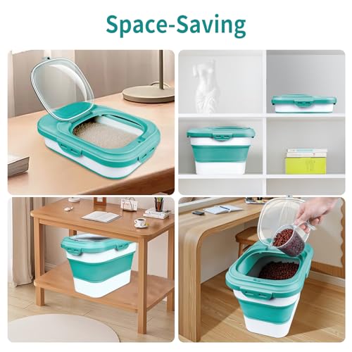 Rice Storage Container