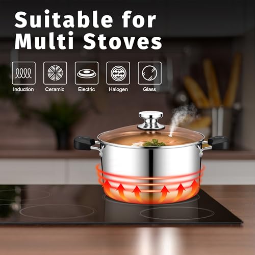 6 Qt Stockpot with Lid