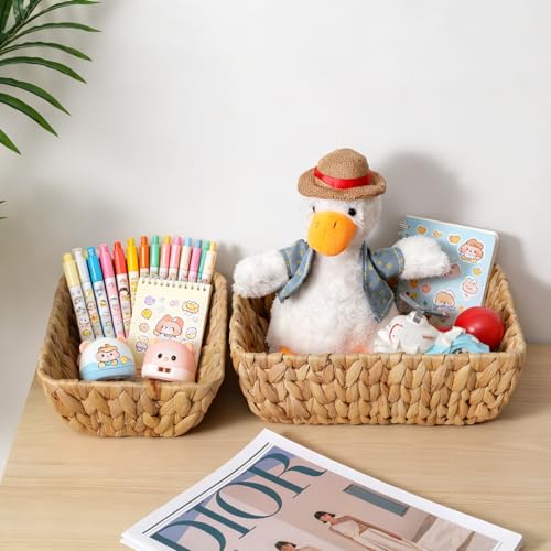Small Wicker Baskets for Organizing 2 Pack (2 Count)