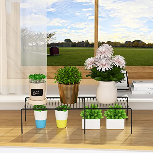 Expandable Shelf Rack