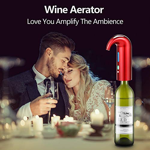 Fathers Day Wine Aerator Electric Wine Decanter