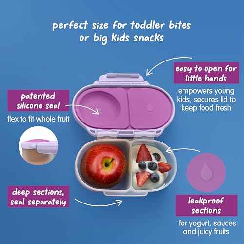 Snack Box Snack Containers for Kids