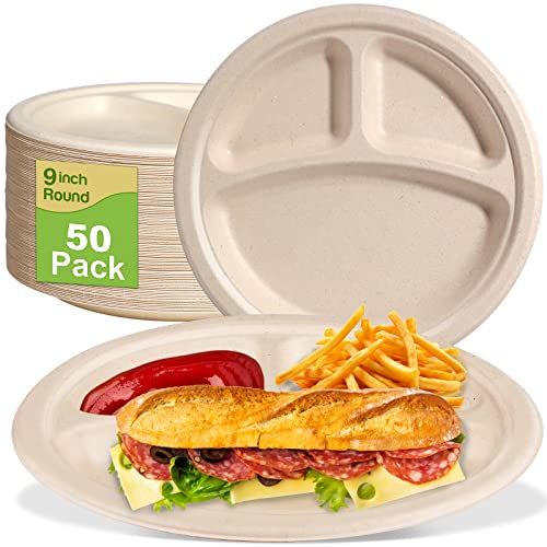 9 Inch Compartment Paper Plates (50 Count)