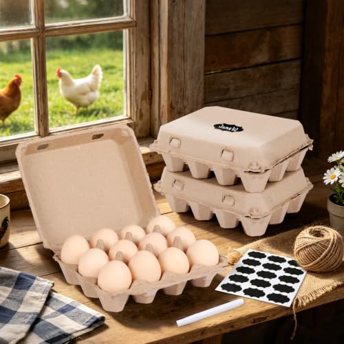 25 Pack Egg Cartons Bulk (12 Count)