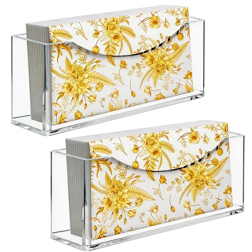 2 Pack Value Acrylic Napkin Holder