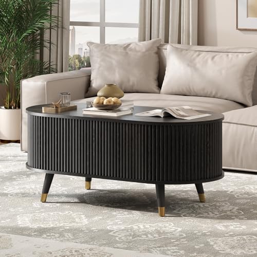 Oval Lift Top Coffee Table with Storage for Living Room