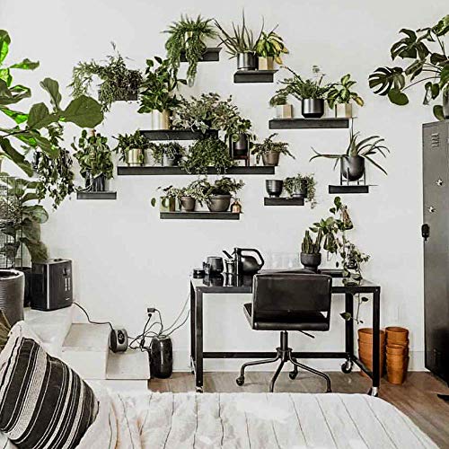 Made in USA Linear Floating Shelf