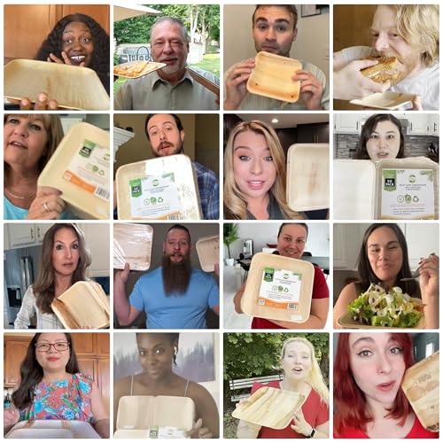 Raj Bamboo Disposable Heavy Duty 6" Square Plates 300 Pack (300 Count)