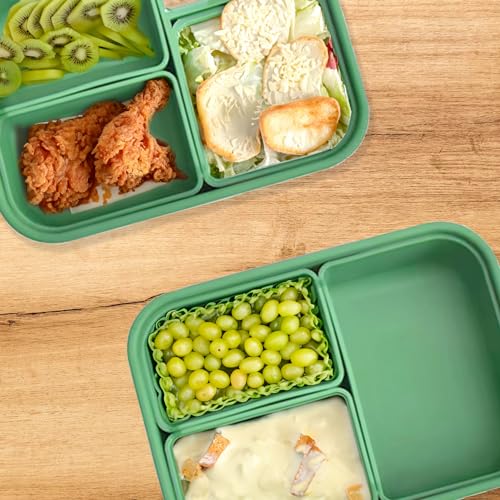 Platinum Silicone Bento Lunch Box Set of 2 (2 Count)