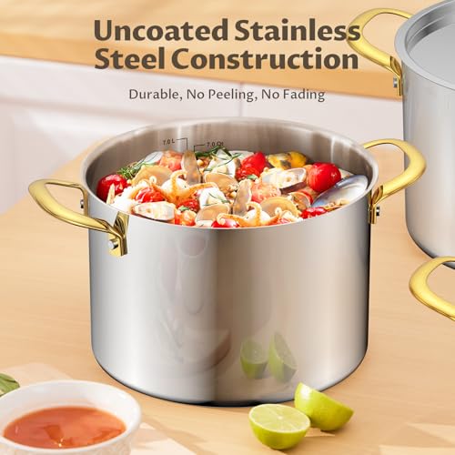 8 QT Stainless Steel Stock Pot with Lid
