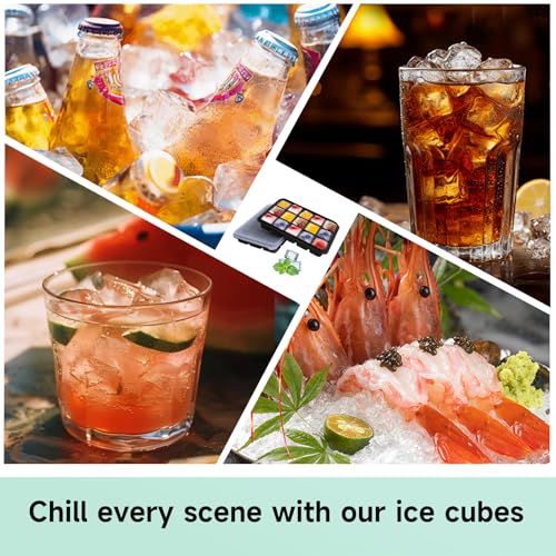 Ice Cube Trays Set of 2 (9.76 Ounce)