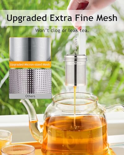 2 Pack Tea Infuser with Scoop for Loose Leaf Tea Steeper