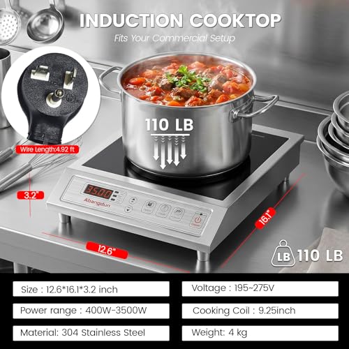 3500W Commercial Induction Burner