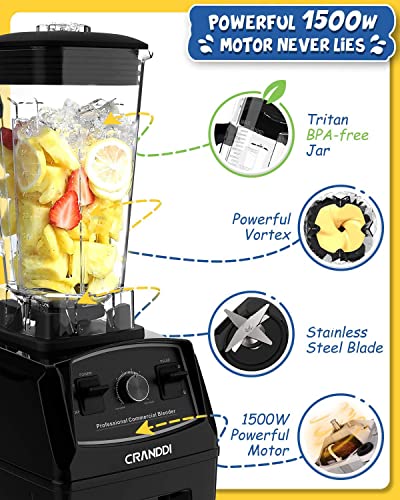 Professional Blender