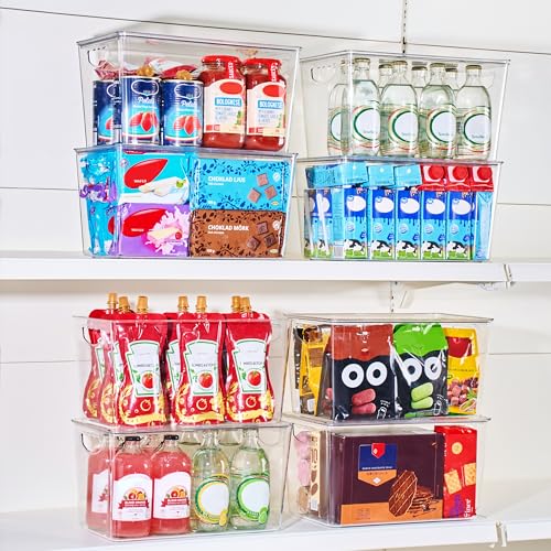 XLarge Clear Storage Bins with Lids (4 Count)