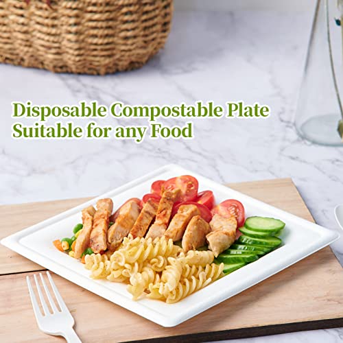 120 Pack Compostable Paper Plates Disposable (60 Count)