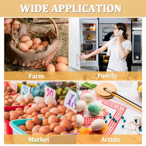60 Pack Plastic Egg Cartons 12 Count (60 Count)