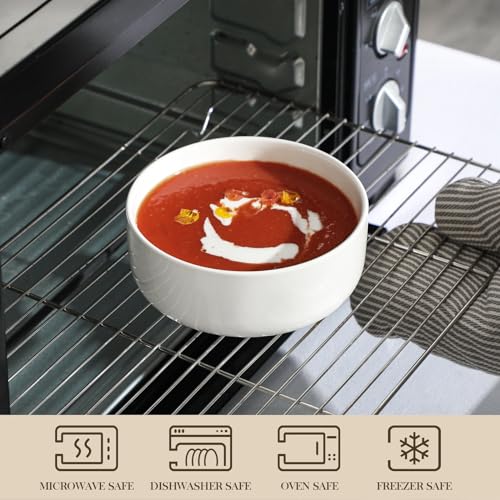 24 OZ Ceramic Bowls Set of 4 (4 Count)