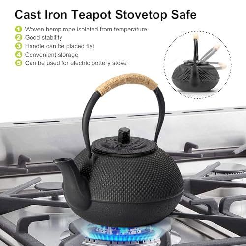 Japanese Tetsubin Cast Iron Teapot Tea Kettle pot with Stainless Steel Infuser for Stovetop Safe Coated with Enameled Interior 22 oz