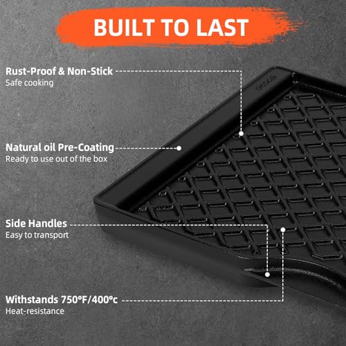 17.5 Inch Grill Griddle for Weber Spirit 200 Series