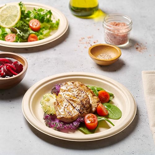 100% Compostable Paper Plates 150 Pack (150 Count)