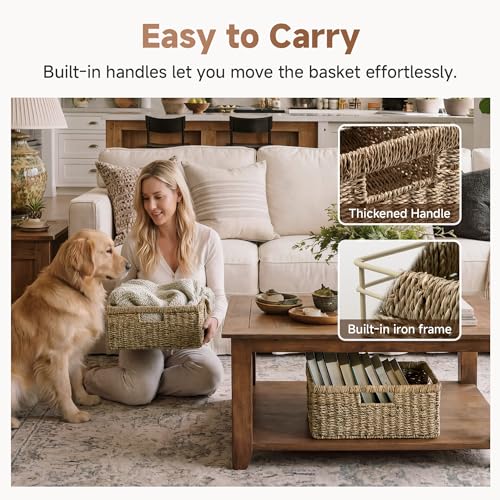 Wicker Storage Baskets for Shelves