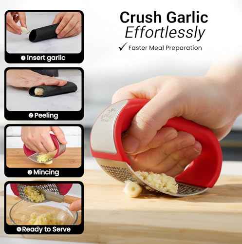 Stainless Steel Garlic Press Rocker Set