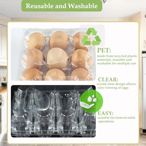 48 Pack Egg Cartons Cheap Bulk 12 Count