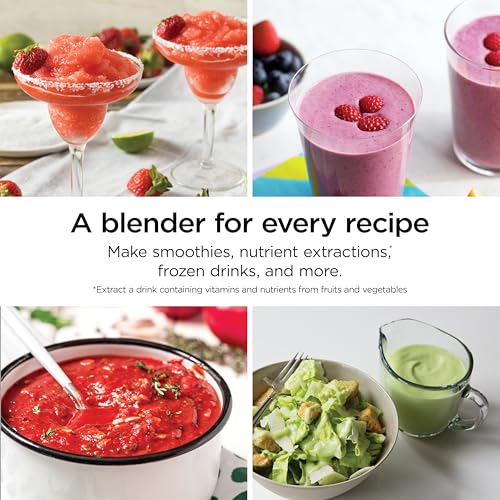 BL660 Professional Compact Smoothie & Food Processing Blender