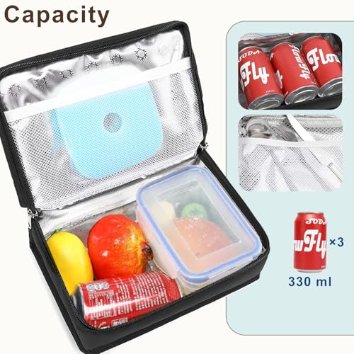 Small Insulated Lunch box Portable Soft Bag Mini Cooler Thermal Meal Tote Kit with Handle for Work & School
