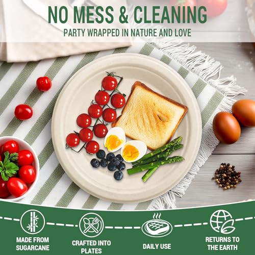 Compostable Paper Plates (150 Count)