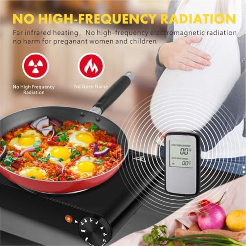 1800W Dual Infrared Burner Electric Hot Plate