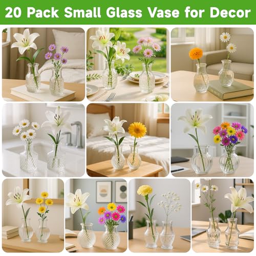 Glass Bud Vase Set of 20 Pcs (20 Count)