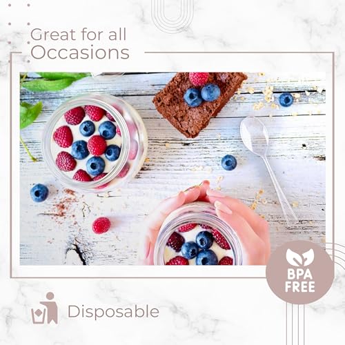 Mini Dessert Spoons (100 Count)
