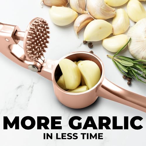 Large Premium Garlic Press Set