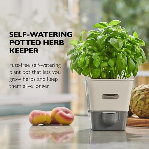 Self Water Herb Keeper