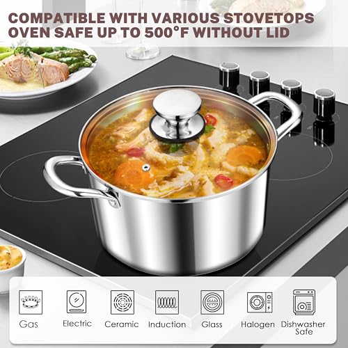 4 Quart Stock Pot