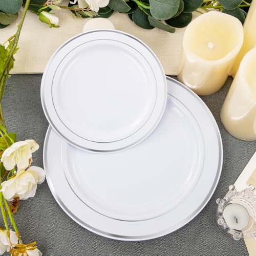 60PCS Silver Plastic Plates (60 Count)