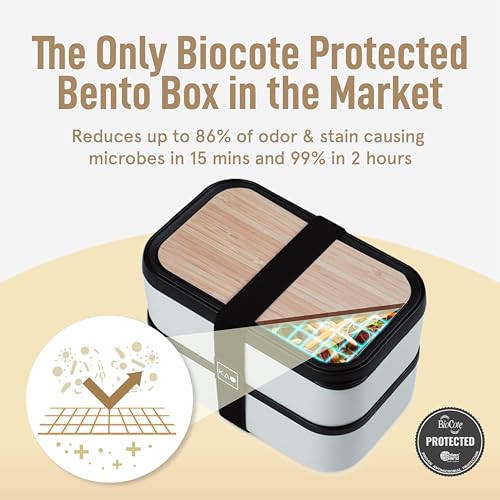 Double Premium Bento Box Adult
